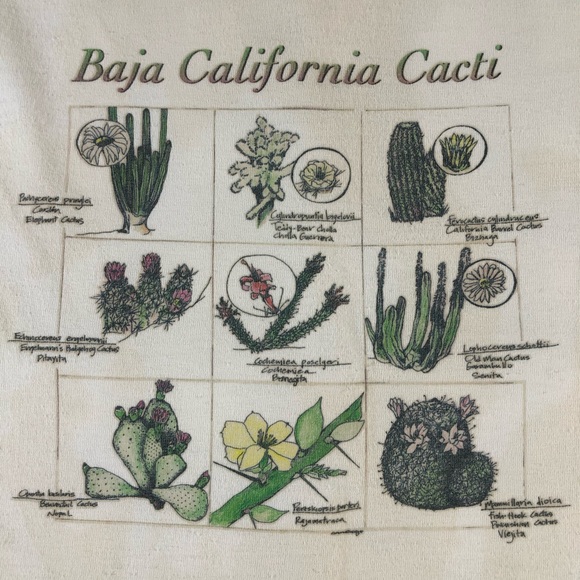 Cactus Baja California Cacti Natural History Tee - Picture 4 of 9